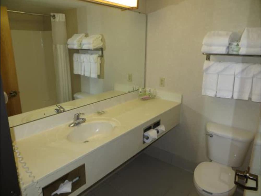Country Inn & Suites By Radisson, Lansing, Mi Exteriör bild